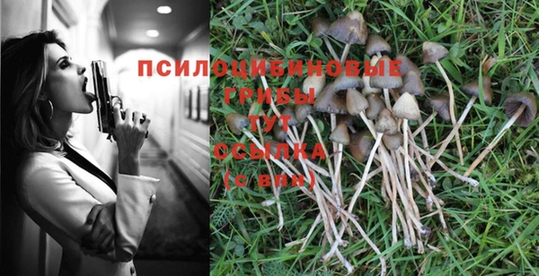 бошки Мегион