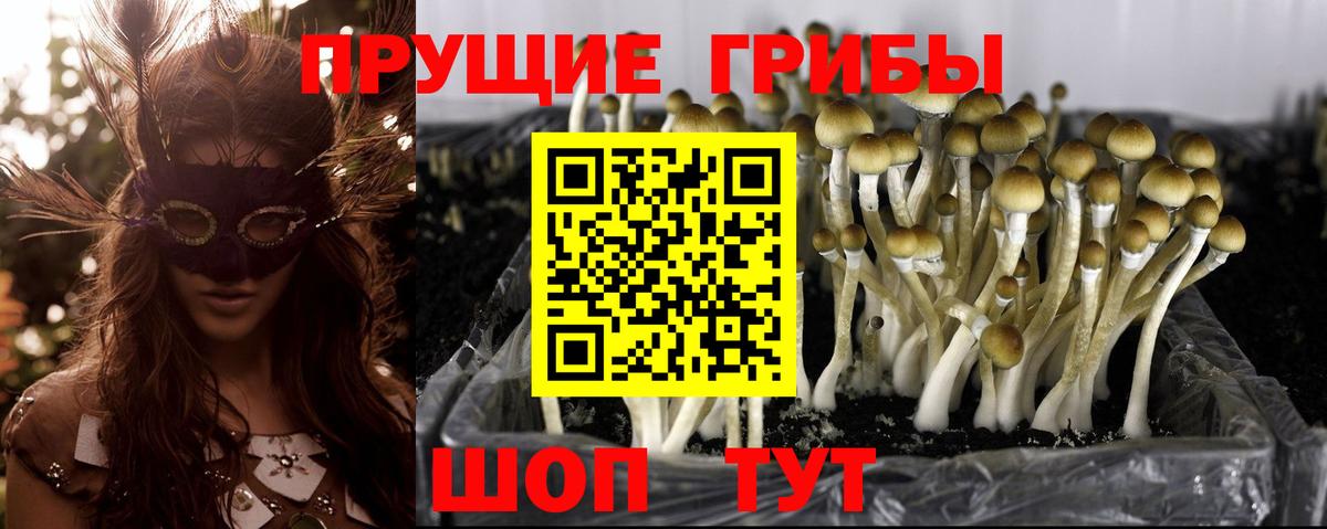 Ханты-Мансийск  Псилоцибиновые грибы Psilocybe  Вход с VPN 